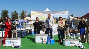 Расстановка класса ЧНКП