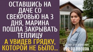 Истории из жизни Оставшись на даче со свекровью на 3 дня, пошла закрывать теплицу… А увидев грядку…