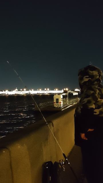 Ну, надо же... мы в центре Питера рыбачим на Неве))