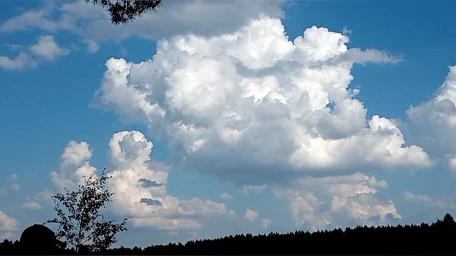 Video.Guru_20260616_131307392