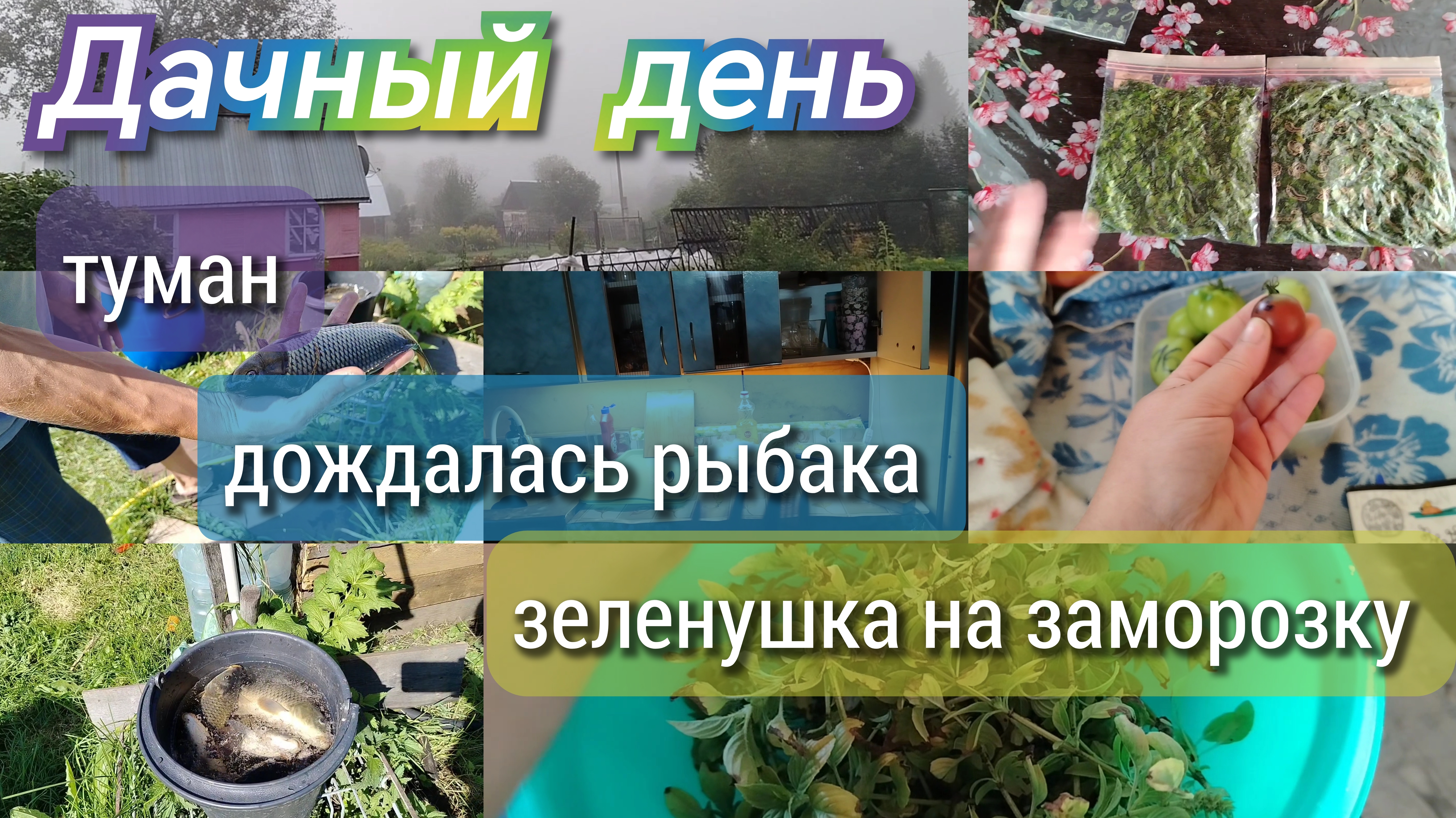 Туман//зеленушка на заморозку//дождалась рыбака