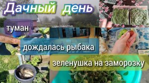 Туман//зеленушка на заморозку//дождалась рыбака