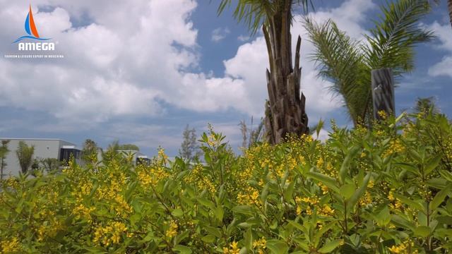 Why BWP Sonasea Phu Quoc