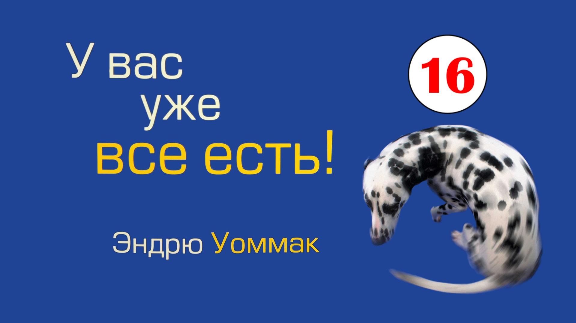 У вас уже всё есть - 16