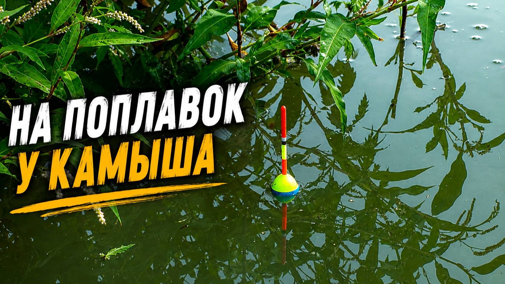 На ПОПЛАВОК у камыша - там, где РЫБА прячется