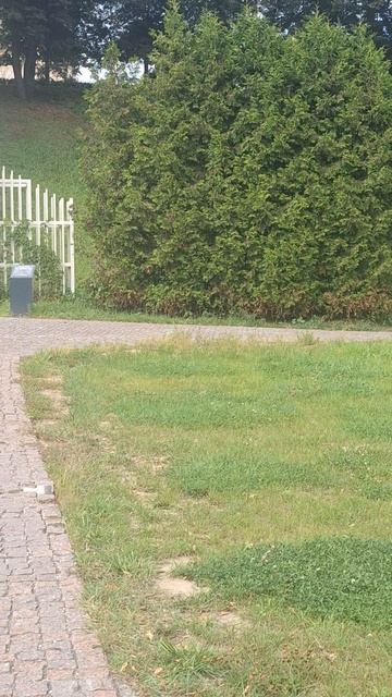Тихая прогулка по парку Дубровицы Подольск