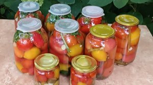 20,08,26 ЗАГОТОВКИ ПРОДОЛЖАЮТСЯ