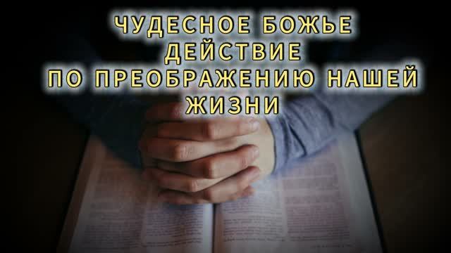 (19.08.2026) - 