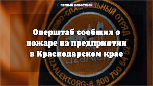 В Краснодарском крае ликвидировали возгорание на предприятии
