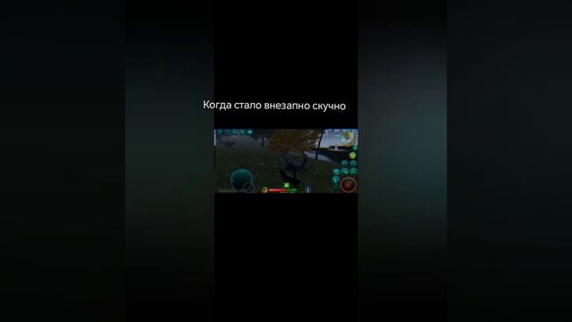 1000033133.mp4