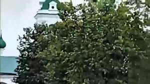 Пробую сделать шампанское из бархатцев и история про Ивана Сусанина