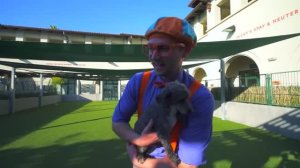 Блиппи в приюте для животных 🐩 Изучай этот Мир вместе с Блиппи