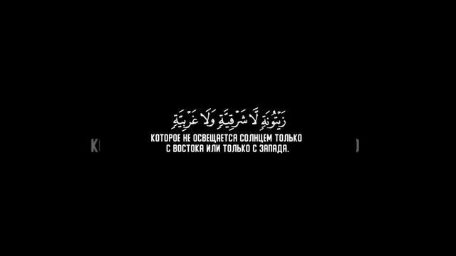 Чтец Абу-Бакр Шатри