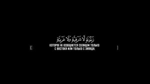 Чтец Абу-Бакр Шатри