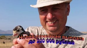 Новая семейная выплата до 200 000 рублей