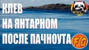 ПОСЛЕ ОБНОВЫ КЛЕВ на ЯНТАРНОМ. Русская рыбалка 4. рр4. Russian Fishing 4