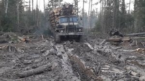 На что способны грузовики Урал, ГАЗ-66, ЗИЛ-131, ЗИЛ-157 в условиях бездорожья.