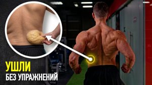 САМЫЙ БЫСТРЫЙ Способ Убрать Жир с Боков и Низа Живота в 2026 году