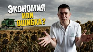 Сэкономили на посеве подсолнечника. Что получили в итоге?