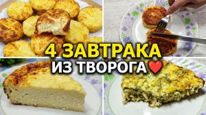 💥4 вкусных и полезных завтраков из творога на каждый день.