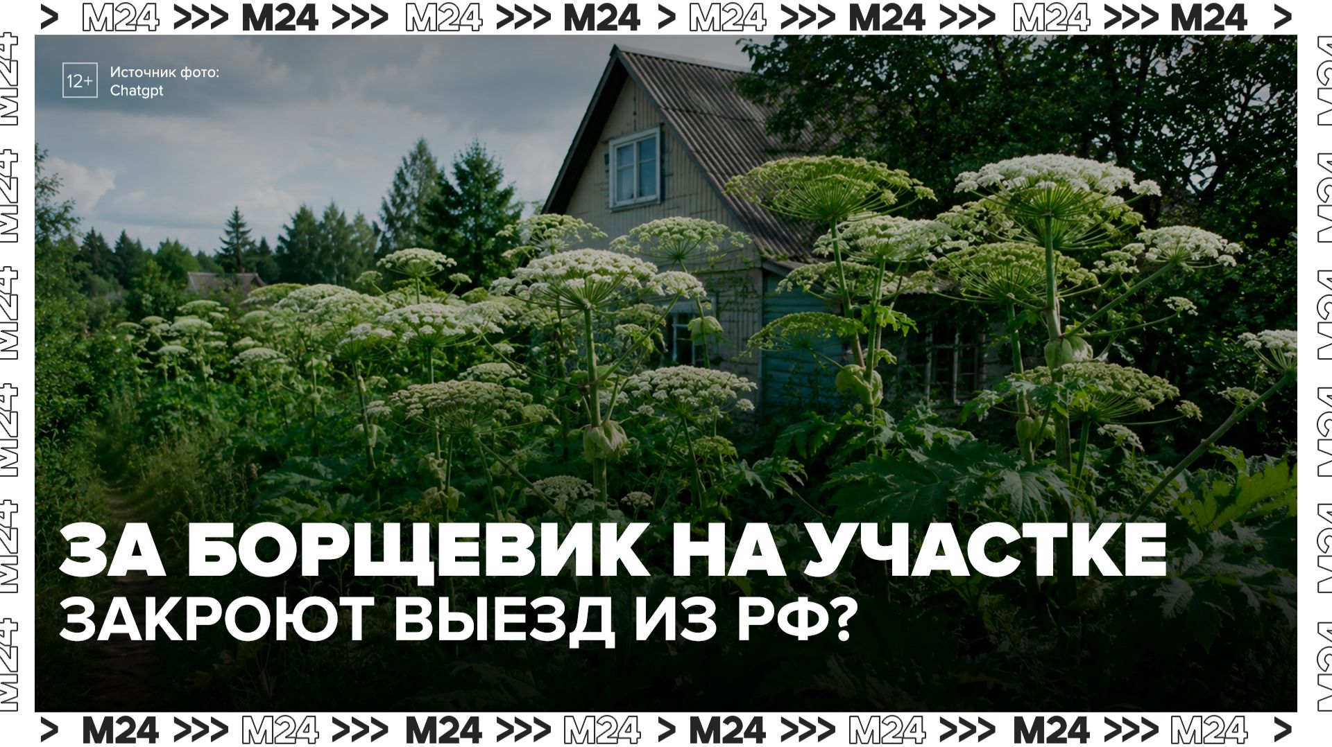 В РФ начали ограничивать выезд за границу за нарушения требований по борьбе с борщевиком - Москва 24