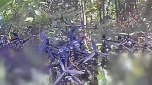 🔴Склад «FPV-дронов» и пункт управления БПЛА противника уничтожен в Сумской области🔴
