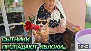 САМВЕЛ АДАМЯН, СЫТНИКИ, ПРОПАДАЮТ ЯБЛОКИ..