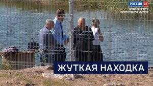 ВЕСТИ 24  Санкт-Петербург от 20.08.2026