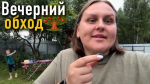 Всё перевернулось с ног на голову. Вечерний обход