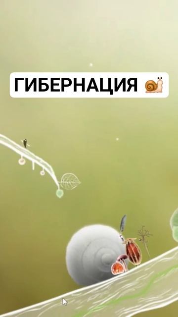 ГИБЕРНАЦИЯ  #обительнастроения #botanicula
