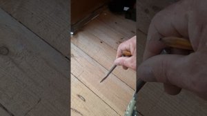 1000067524.mp4 (Собака слушает о технологии монтажа напольного отопит. конвектора в доме А-фрейм)