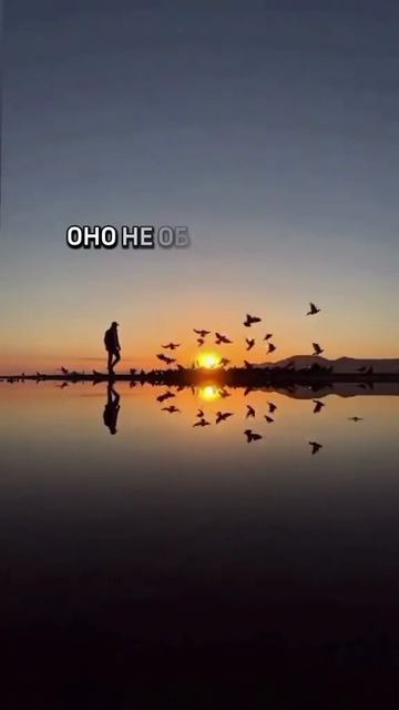 Без названия-3