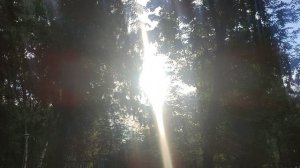 20 августа магический ☀️ подарок от волшебника Ивана Ивановича Кулебякина из Москвы