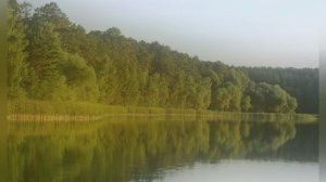 Миниатюра для струнного квартета . Тайна леса . Сочинение Баталовой Амелии .