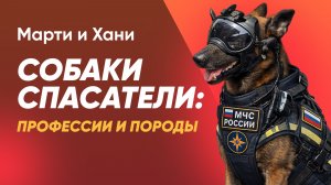 СОБАКИ СПАСАТЕЛИ МЧС: ПРОФЕССИИ И ПОРОДЫ / ОНИ НАХОДЯТ ЛЮДЕЙ ПОД ЗАВАЛАМИ