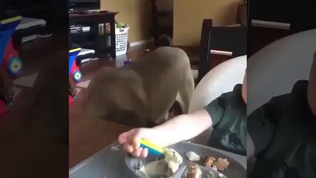 БЫВАЕТ