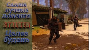 Целее будешь. Stalker. Самые лучшие моменты. #stalker