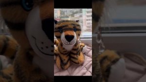 Пж до конца досмотрите это важное 😢