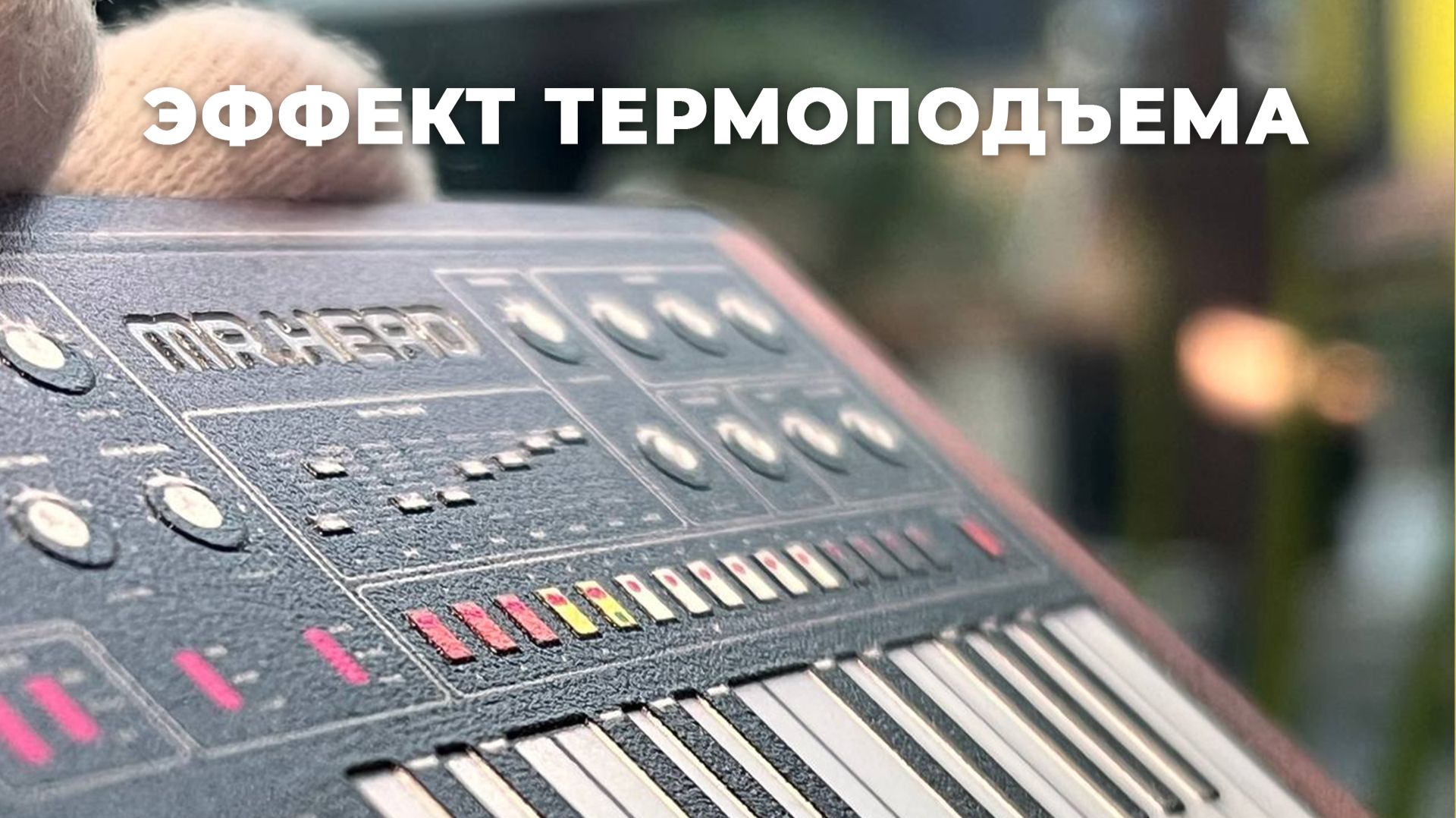 Карта клиента для магазина аудиотехники с тактильным рельефом синтезатора