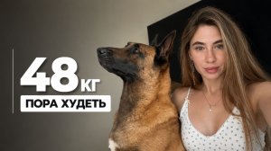 Моя собака набрала лишний вес. Что мы теперь делаем?