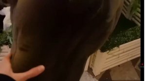 приглашаю смотреть А4 за один лайк