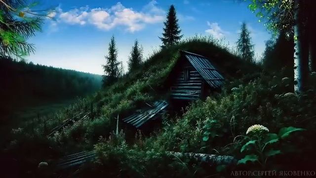 ТАЙГА. Лучшие таежные истории.