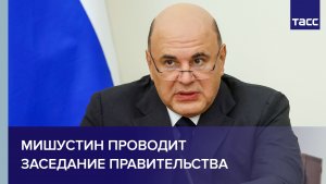 Мишустин проводит заседание правительства