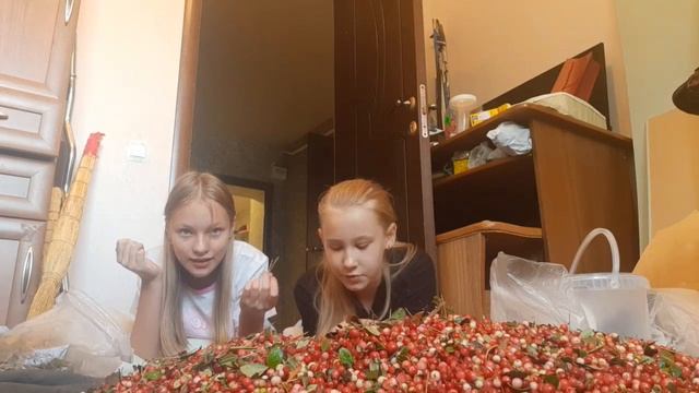 Я помогаю своей подруге перебирать ягоды