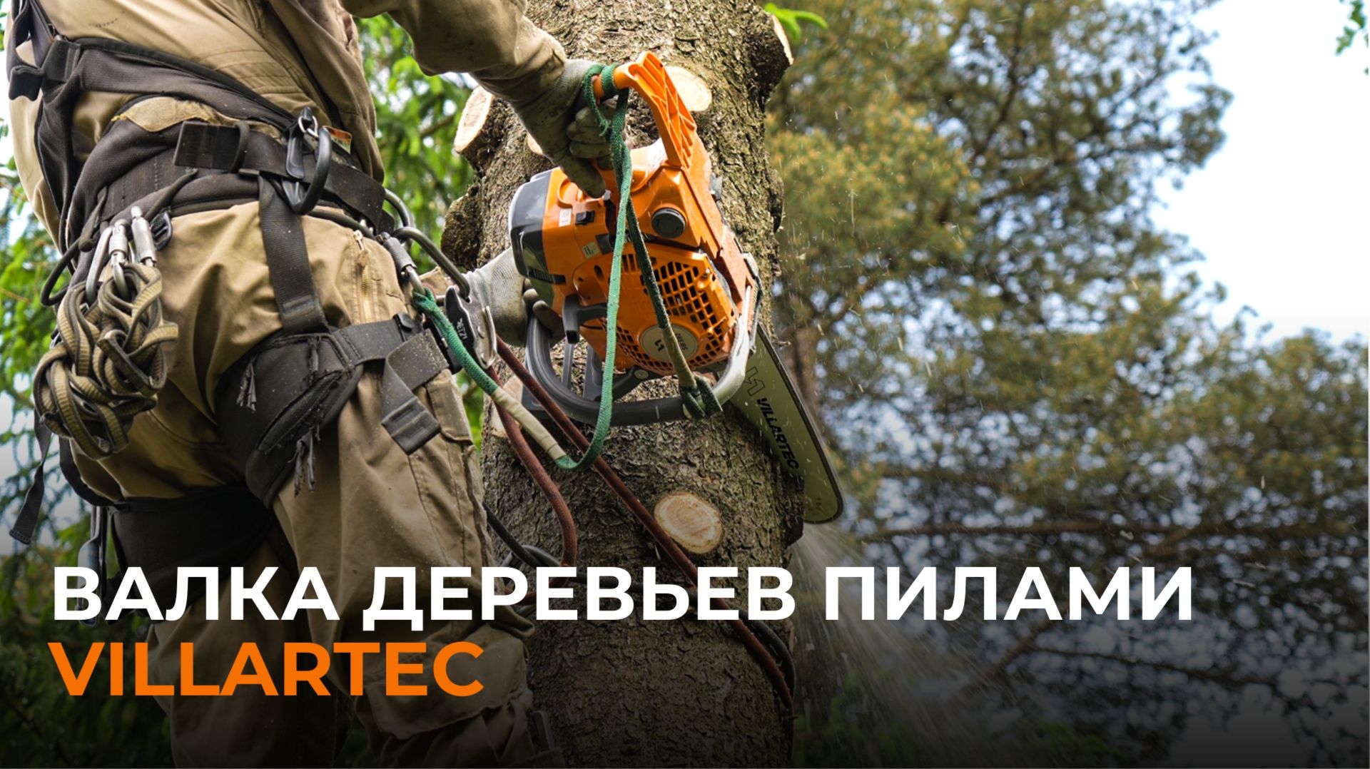 Валка деревьев пилами VILLARTEC: профессиональный арборист в деле