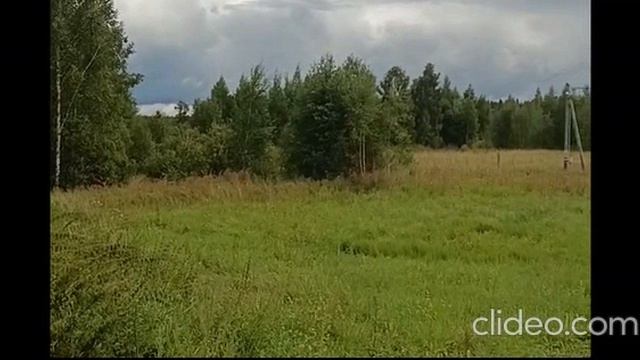 ЗУ :705 д. Мостки