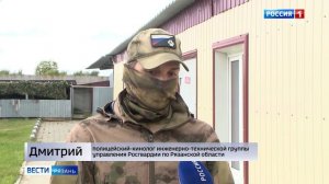 Сегодня в России отмечают День фронтовой собаки
