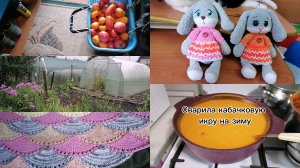 Немного об всем. Огород, икра кабачк, у нас котик новый, мои вязалки.