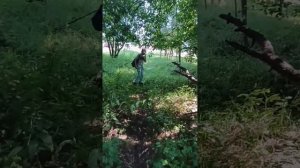 тайна рельс