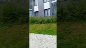 Просто гуляем